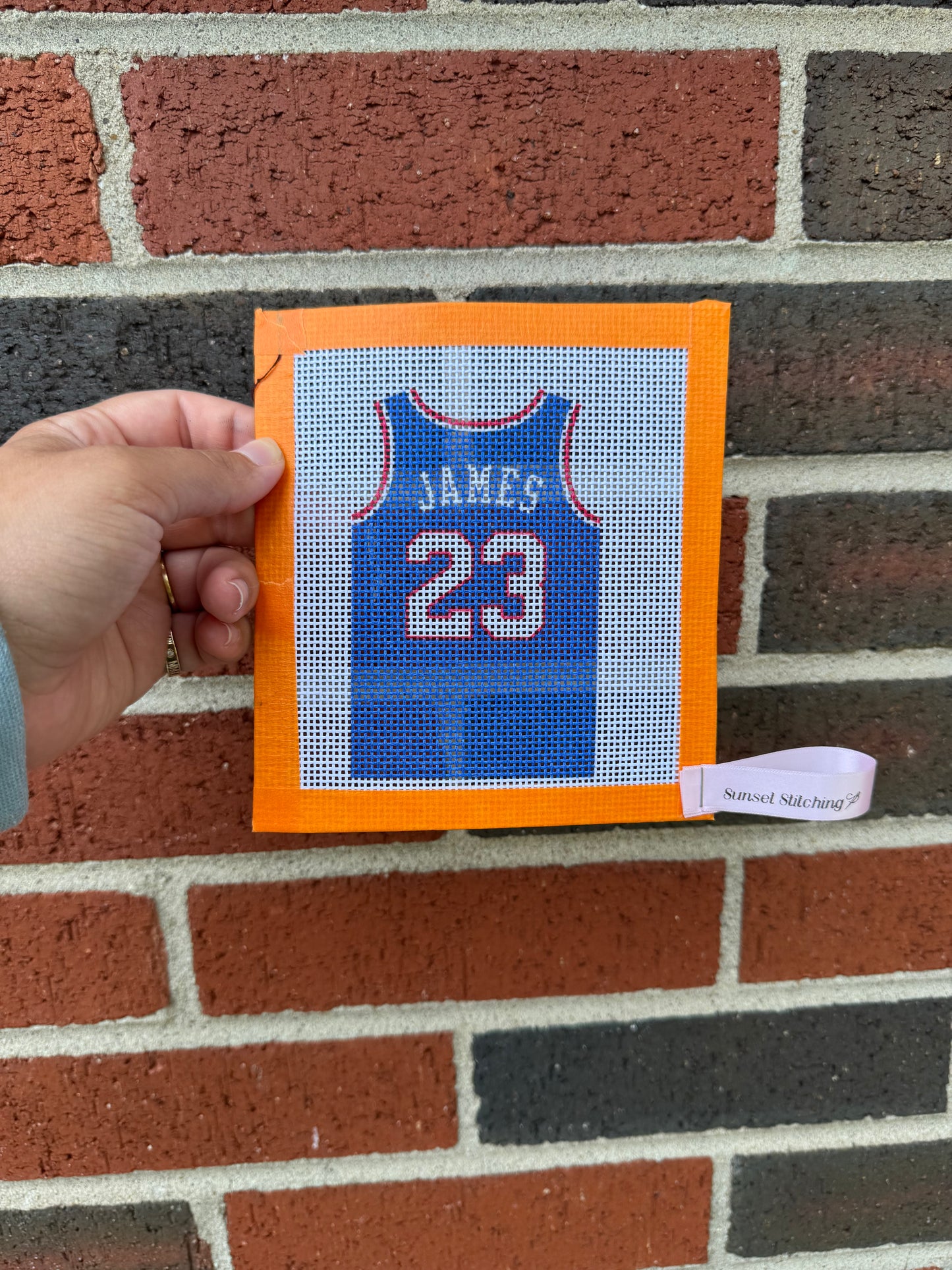 James #23 Philadelphia Basketball Jersey Needlepoint Canvas
